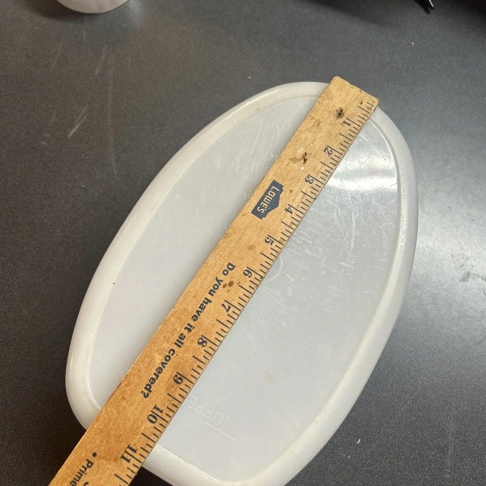 Tupperware Ham Turkey Flavor Saver Keeper White With No Insert but has the lid